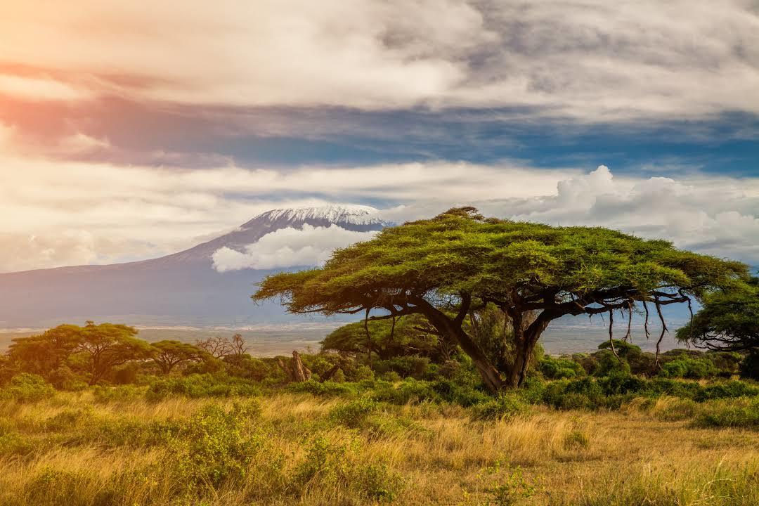 Amboseli National Park